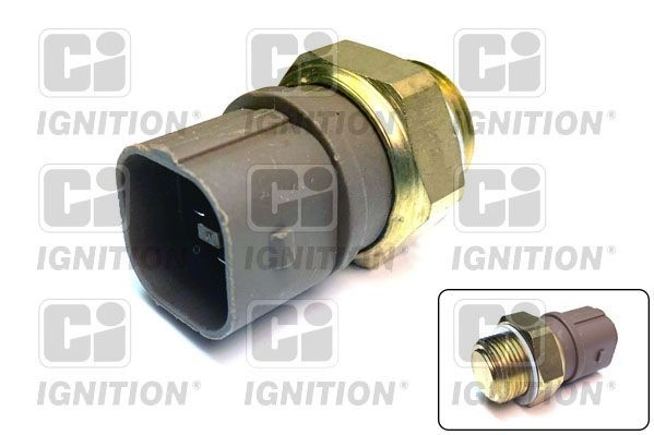 Compre ST141 Beru Sensor de temperatura do fluido de esfriamento (de ativação de ventilador do radiador)